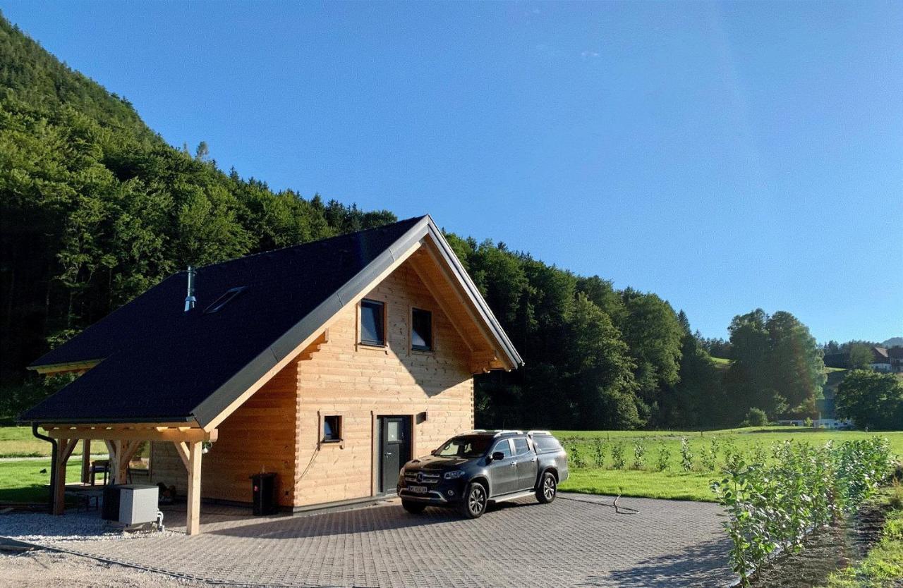 Das Gruenhaus - Dein Chalet In Grünau im Almtal Zewnętrze zdjęcie